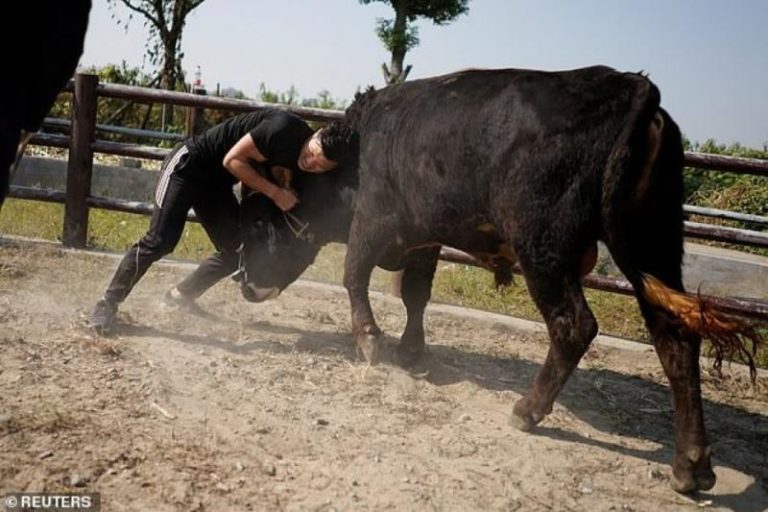 Njeriu që me teknikë të veçantë të Kung Fu-së rrëzon demat pa problem