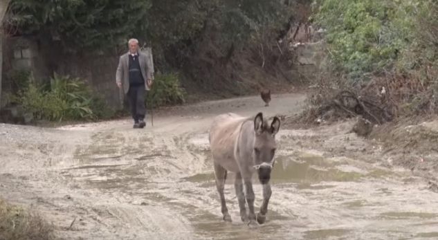 Fshati shqiptar ku kanë mbetur vetëm të moshuarit, arsyeja