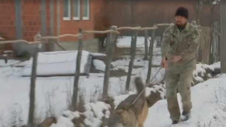 Ujku i kosovarit me emrin Trump (Video)