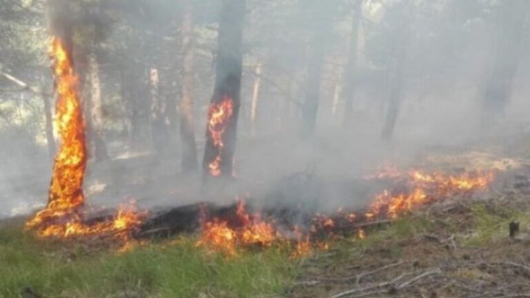 Policia jep detaje për zjarrin në Malin e Rugovës