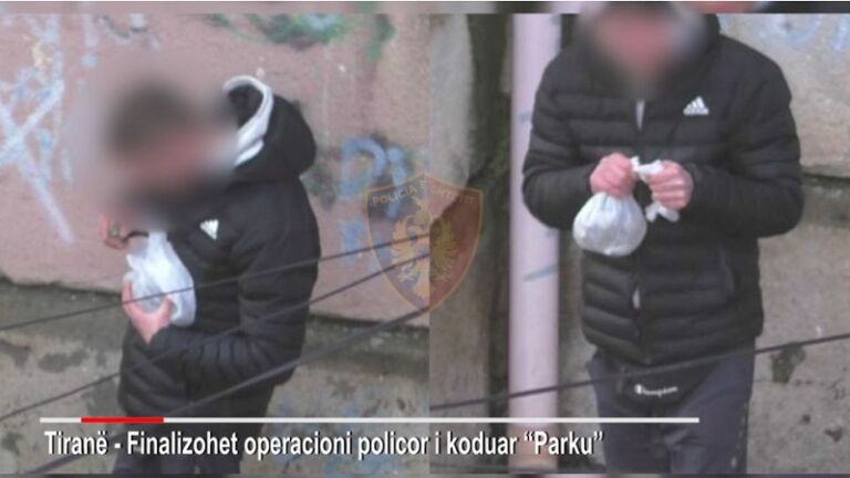 Detaje/ Aksioni antidrogë në Tiranë, zbulohen 100 kg kokainë në kontejnerin me banane