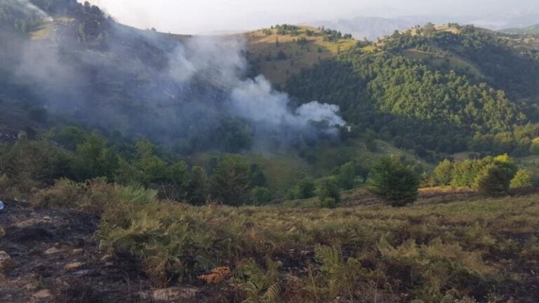 Flakët përfshijnë sipërfaqen pyjore në Vaun e Dejës, dyshohet për zjarrëvënie të qëllimshme