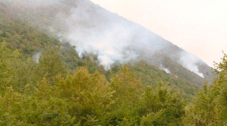 Qindra zjarre që nga fillimi i vitit
