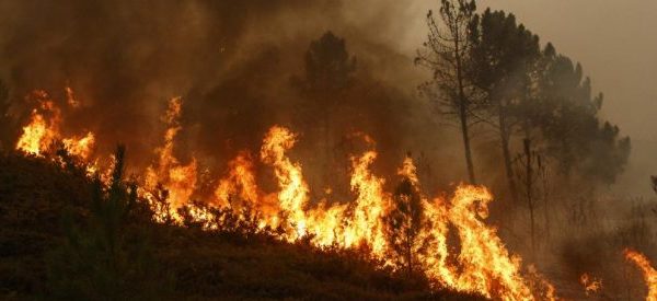 Terren i thyer, e pamundur ndërhyrja e zjarrfikëseve! Kodrat e Krujës “përpihen” nga flakët