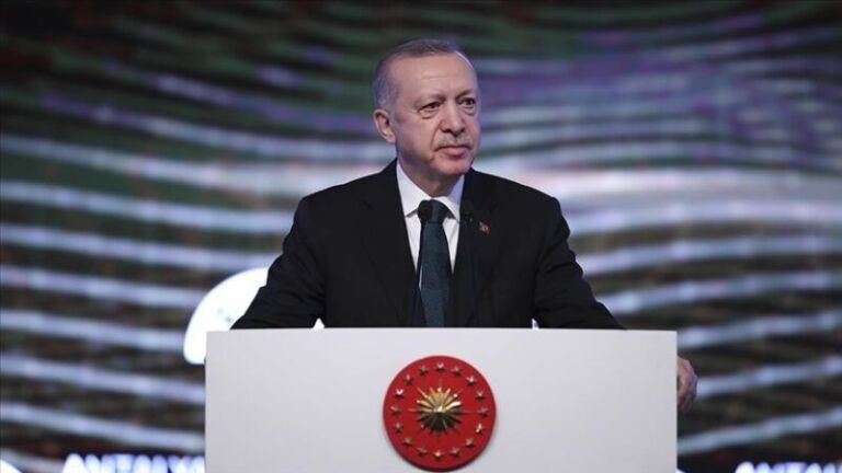 Erdoğan: Islamofobia vazhdon të përhapet në vendet perëndimore