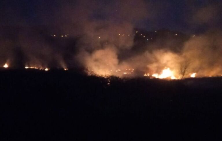Zjarri përfshin sipërfaqen e tokës në fshatin Livadhja, digjen 1 hektar ferra e shkurre