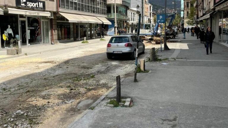 Komuna e Tetovës do të prejë edhe 8 pemë të tjera