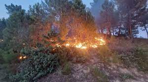 Helikopterët grekë vënë në kontroll zjarrin në Dropull/ Po punohet për pengimin e tyre drejt “Syri i Kaltër”!