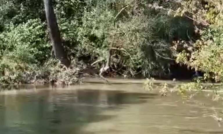 Policia jep detaje të reja nga gjetja e trupit të të riut nga Kumanova