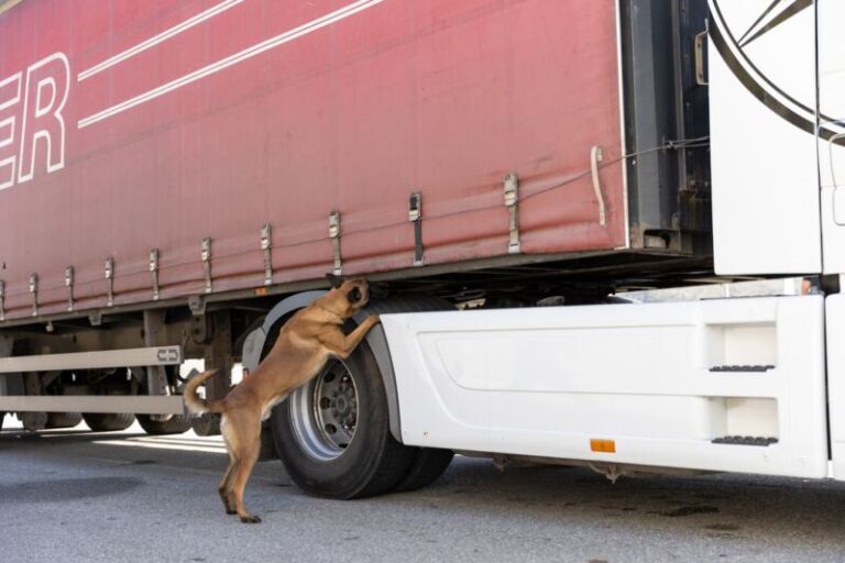 382 arrestime në një aksion të bashkë-drejtuar nga Frontex kundër trafikantëve