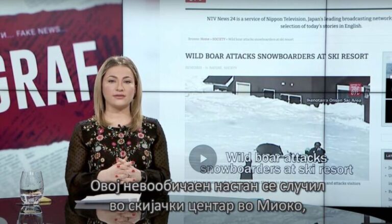 Poligraf: Kush përhapi një lajm të pavërtetë se një derr i egër ka sulmuar snouborderë në Mavrovë?