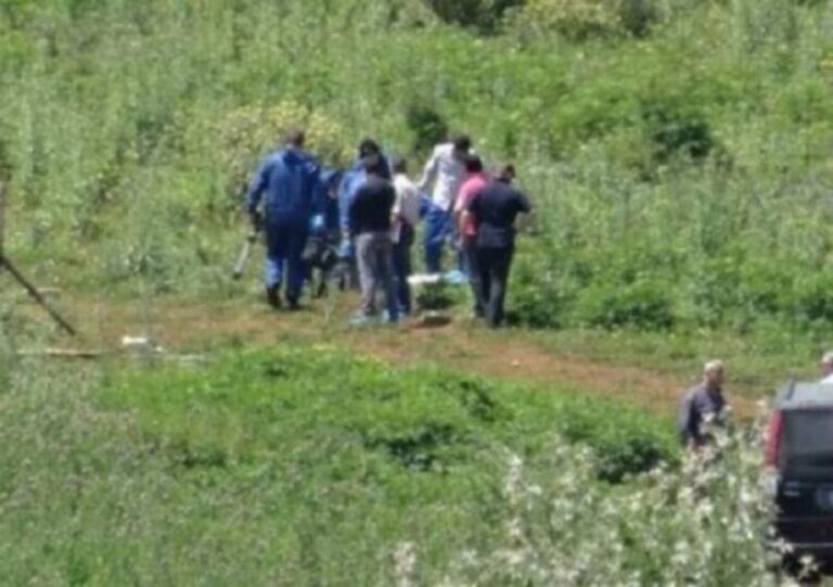 Doli për të kërkuar bagëtitë, gjendet i vdekur bariu