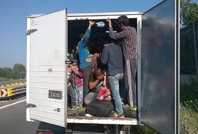 Kapen 15 emigrantë nga Kina në kufirin Maqedoni e Veriut-Greqi