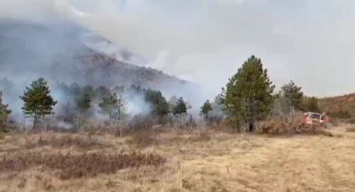 Kodrat me ullishte në Berat përfshihen nga flakët! Zjarri izolohet me mjete rrethanore për shkak të terrenit të vështirë, shmanget rreziku ndaj banesave