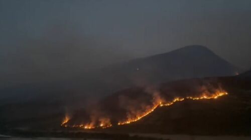 Kodrat e Salarisë në Tepelenë nën flakë, digjen sipërfaqe të mëdha me bimësi