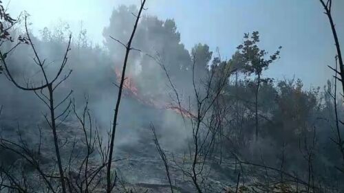 Riaktivizohet zjarri në Krujë, zjarrfikëset dhe Emergjencat Civile në vendngjarje për shuarjen e flakëve