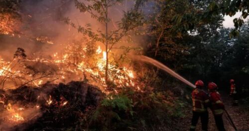 Situatë kaotike në Portugali! Shtatë persona, mes tyre 3 zjarrfikës humbin jetën në “luftë” me zjarret, ja si paraqitet situata  