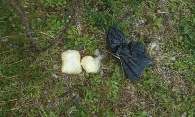 Parandalohet një rast i futjes së drogës në burgun e Dubravës