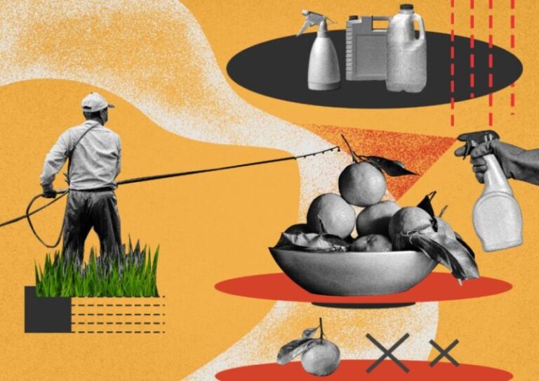 BIRN: Genocid ndaj popullsisë! Pesticidet kancerogjene të ndaluara në Europë tregtohen në Shqipëri