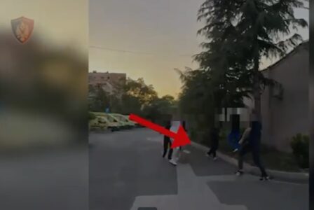Trafikonin drogë nga SHBA nëpërmjet postës, bien në prangat e policisë 2 të rinj