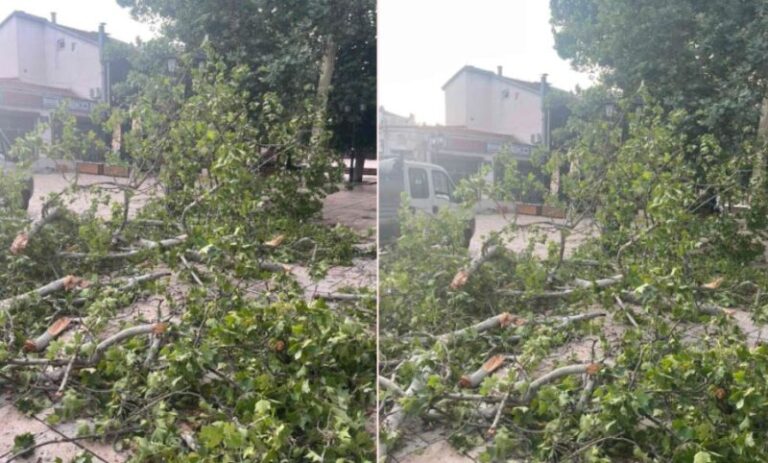 Erërat e forta, rrëzohet druri në Çarshi të Shkupit