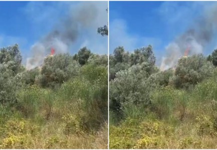 Zjarri përfshin një sipërfaqe të konsiderueshme me ullinj në Elbasan, flakët rrezikojnë banesat