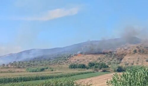 Përfshihen nga zjarri kodrat e Peqinit dhe Rrogozhinës, ngrihen dy helikopterë për shuarjen e flakëve nga ajri