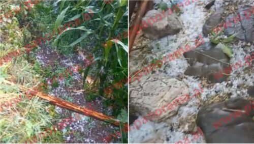 Stuhia e breshrit godet Gramshin, dëme të mëdha në bujqësi